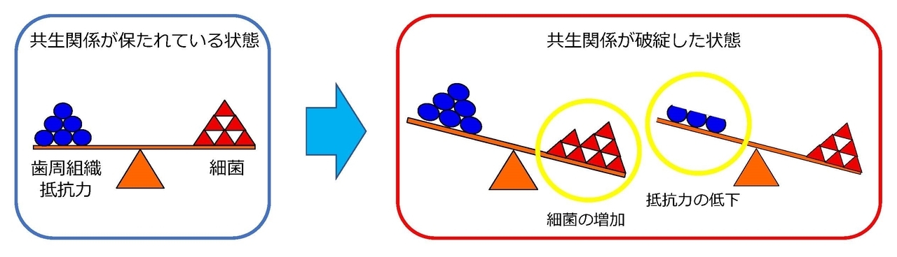 浜松市中区の予防歯科