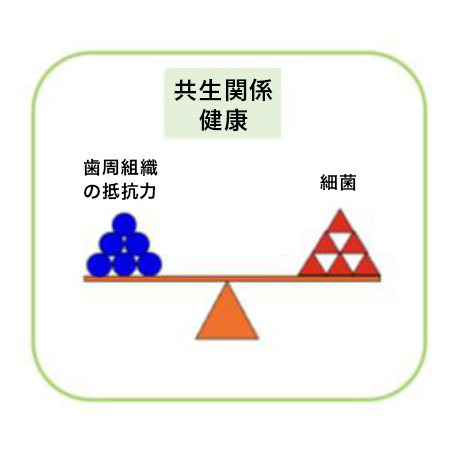 浜松市中区の歯周病・歯槽膿漏の原因菌について